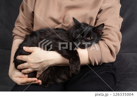 Black cat in female hands 126335004
