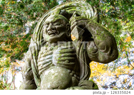 国東半島 両子寺仁王像 国東半島 両子寺仁王像 126335024