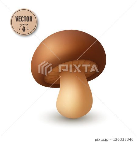 Cute Vector 3D Realistic Mushroom Icon. Cartoon Fungi Illustrations Closeup Isolated on White Background. Mushroom Fungi Clipart, Design Template for Nature Botanical Concept 126335346