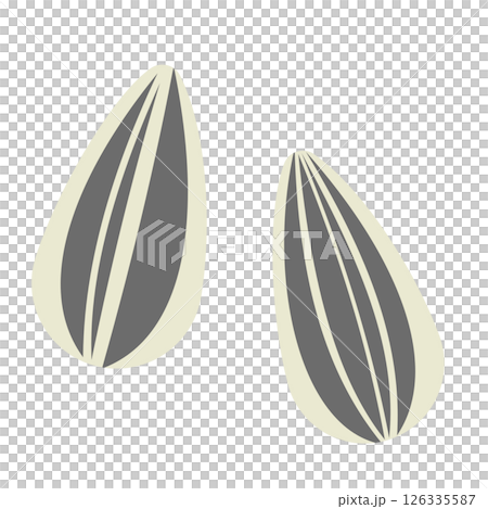 Sunflower seeds illustration Sunflower seeds illustration 126335587
