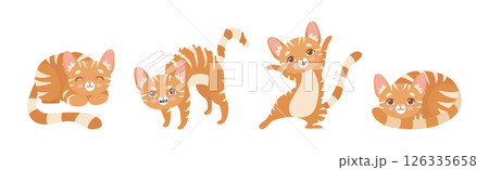Cat Pet and Domestic Animal with Cute Snout Vector Set 126335658