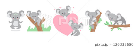 Adorable Koala Grey Animal in Various Actions Vector Set Adorable Koala Grey Animal in Various Actions Vector Set 126335680
