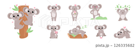 Adorable Koala Grey Animal in Various Actions Vector Set 126335682