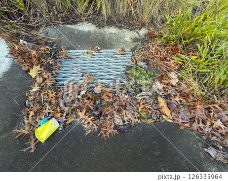 Wet brown leaves lying on the ground near a water drain Wet brown leaves lying on the ground near a water drain 126335964