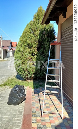 Ladder Positioned Neatly Next to a Tree and a Garbage Bag Under a Blue Sky Above 126336080