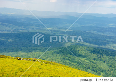 beautiful view in to the valley from the mountain top. alpine scenery with steep grassy slope. stryi district of lviv region. sunny weather in summer with cloudy sky 126336218