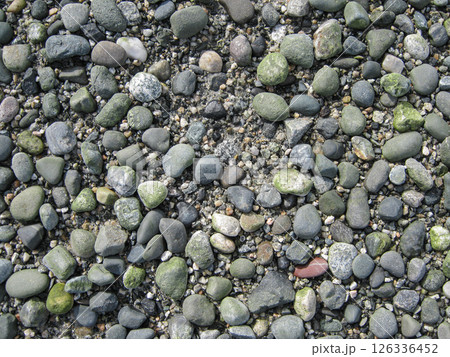 The Pebbly Beach Of New Brighton Park 126336452