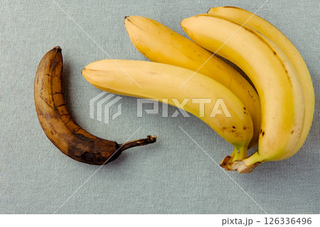 bunch of yellow ripe banana and one overripe brown banana on grey background. bunch of yellow ripe banana and one overripe brown banana on grey background. 126336496