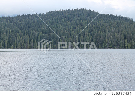 The Forested Hill Over Sasamat Lake, British Columbia The Forested Hill Over Sasamat Lake, British Columbia 126337434