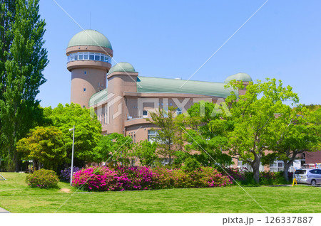 千葉県我孫子市鳥の博物館周辺2025年4月 126337887