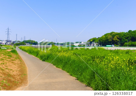 千葉県松戸市富士川沿い2025年4月 126338017