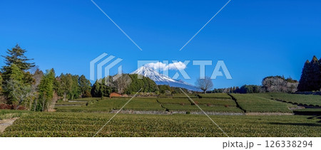 青空バックに見る富士山と広大なお茶畑の絶景 126338294