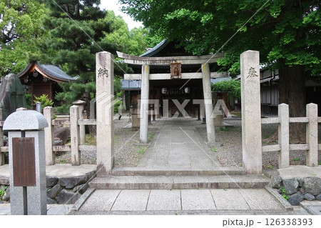 御香宮神社 御香宮神社 126338393