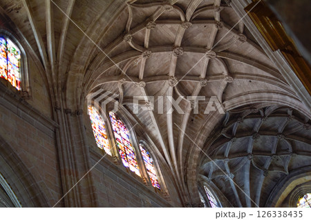 Late Gothic ribbed vaults and interlocking ribs in Gothic Cathedral of Segovia 126338435