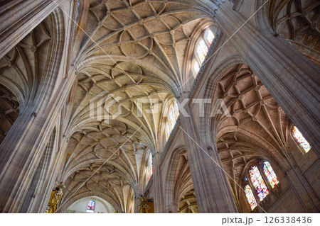 Late Gothic ribbed vaults and interlocking ribs in Gothic Cathedral of Segovia 126338436