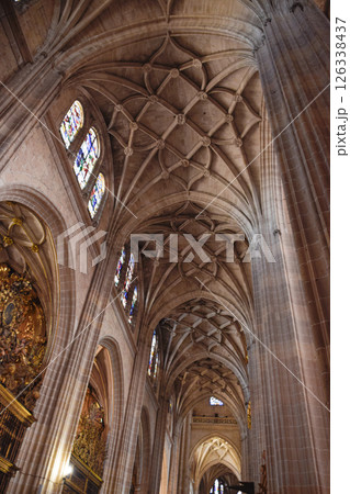 Late Gothic ribbed vaults and interlocking ribs in Gothic Cathedral of Segovia 126338437
