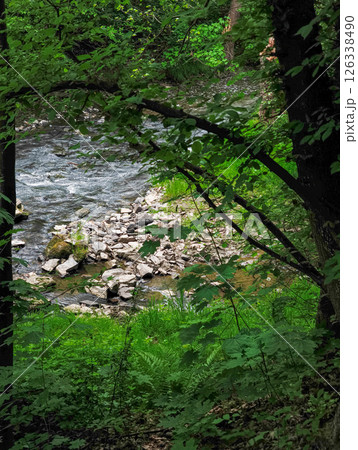 River Botic flowing through lush forest in the pacific northwest 126338490