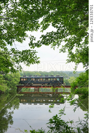 新緑とリフレクションのある鉄道風景(和歌山電鐵、大池遊園) 126338701
