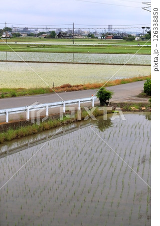 水田の風景 126338850
