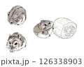 水彩風で描いたジャンガリアンハムスターのいろいろなポーズセット 126338903