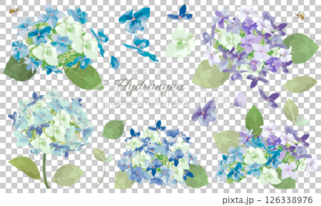 Illustration material set of hydrangea flowers painted in watercolor Illustration material set of hydrangea flowers painted in watercolor 126338976