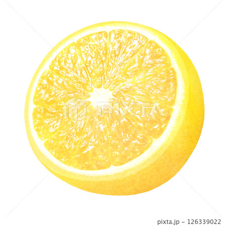 半分にカットしたレモンの手描きイラスト_水彩_新鮮な柑橘類 半分にカットしたレモンの手描きイラスト_水彩_新鮮な柑橘類 126339022