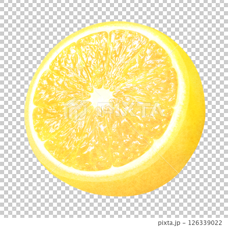 半分にカットしたレモンの手描きイラスト_水彩_新鮮な柑橘類 半分にカットしたレモンの手描きイラスト_水彩_新鮮な柑橘類 126339022