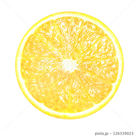 輪切りしたレモンの手描きイラスト_水彩_新鮮な柑橘類 輪切りしたレモンの手描きイラスト_水彩_新鮮な柑橘類 126339023