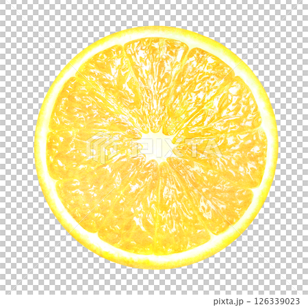 輪切りしたレモンの手描きイラスト_水彩_新鮮な柑橘類 輪切りしたレモンの手描きイラスト_水彩_新鮮な柑橘類 126339023