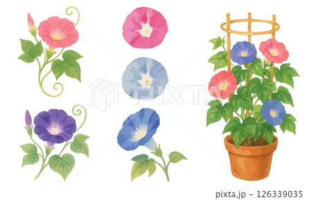 水彩風あさがおのイラストセット｜夏の植物・鉢植え・装飾素材におすすめ 126339035