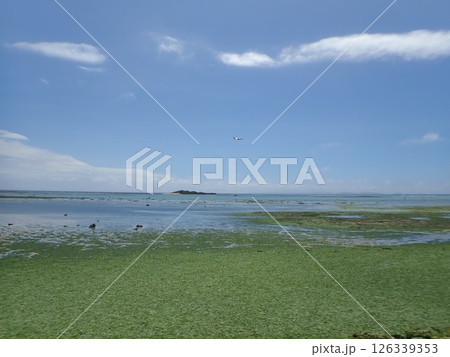 沖縄 糸満市 アーサー ビーチ 岡波岩 okinawa 沖縄 糸満市 アーサー ビーチ 岡波岩 okinawa 126339353