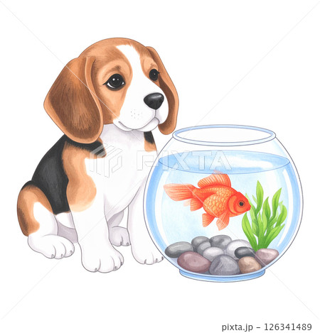 赤い金魚をビーグルの子犬のイラスト/チラシやポスター用素材 赤い金魚をビーグルの子犬のイラスト/チラシやポスター用素材 126341489