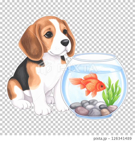一隻小獵犬小狗抱著一條紅色金魚的插圖/傳單和海報的材料 一隻小獵犬小狗抱著一條紅色金魚的插圖/傳單和海報的材料 126341489