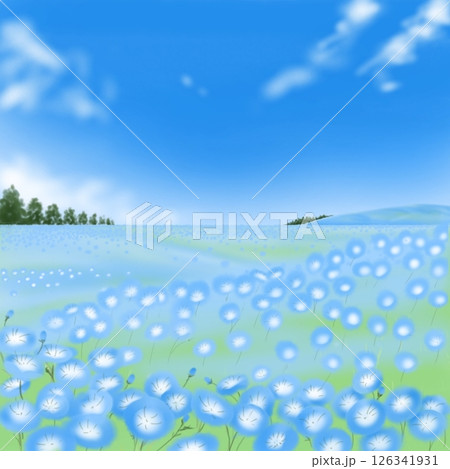 青いネモフィラ花畑 126341931