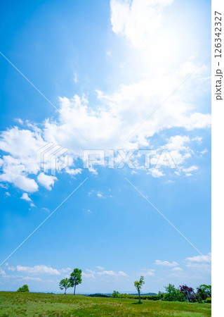 青空と草原 青空と草原 126342327