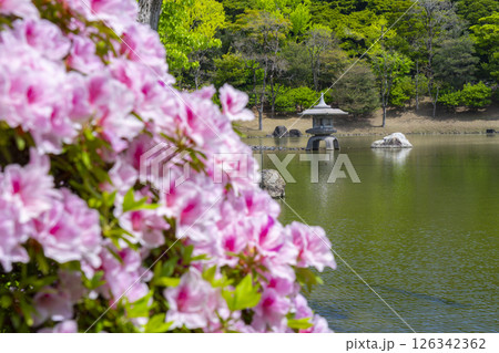 万博記念公園 日本庭園の心字池とツツジ 万博記念公園 日本庭園の心字池とツツジ 126342362