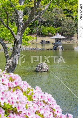 万博記念公園　日本庭園の心字池とツツジ 126342364