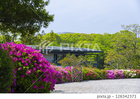 万博記念公園　つつじヶ丘 126342371