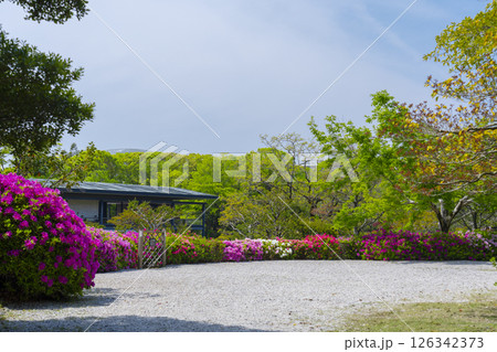 万博記念公園　つつじヶ丘 126342373