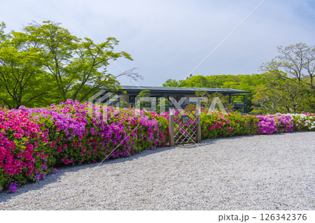 万博記念公園　つつじヶ丘 126342376