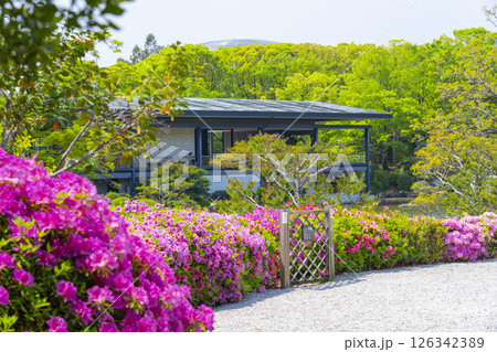 万博記念公園　つつじヶ丘 126342389