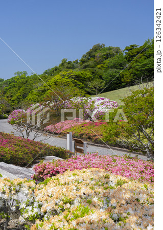 万博記念公園　つつじヶ丘 126342421