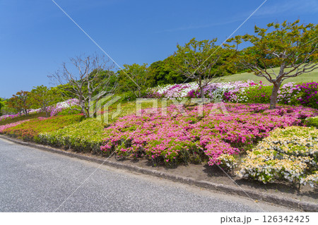 万博記念公園 つつじヶ丘 万博記念公園 つつじヶ丘 126342425