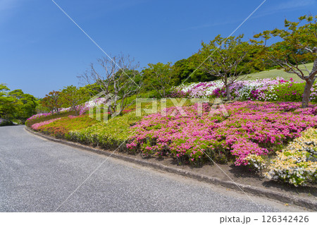 万博記念公園　つつじヶ丘 126342426
