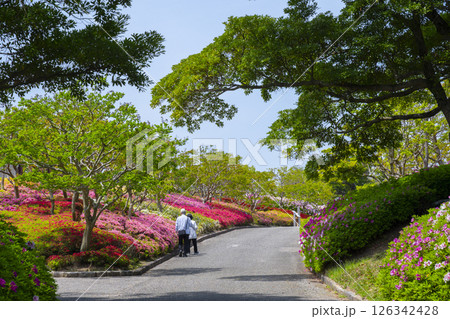 万博記念公園　つつじヶ丘 126342428