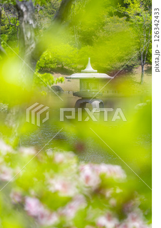 万博記念公園　日本庭園の心字池 126342433