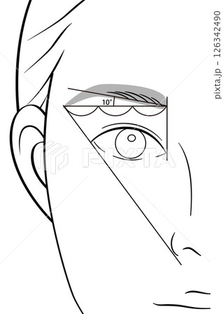 基本の眉メイクをした女性|目元のアップ|線画イラスト素材 基本の眉メイクをした女性|目元のアップ|線画イラスト素材 126342490