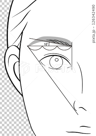 基本の眉メイクをした女性|目元のアップ|線画イラスト素材 基本の眉メイクをした女性|目元のアップ|線画イラスト素材 126342490