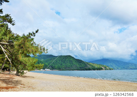 福井県 気比の松原 福井県 気比の松原 126342568