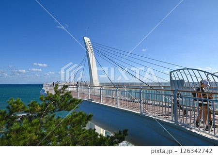 【韓国/釜山】海雲台・海月展望台（ヘウォル展望台） 126342742